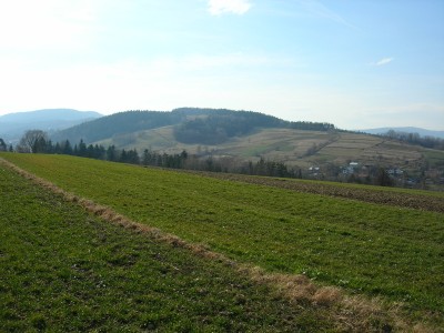 widok